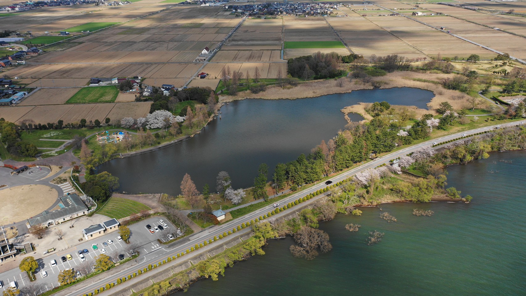 長浜市 奥びわスポーツの森 の公園情報 駐車場 トイレ 釣れる魚 琵琶湖アウトドアマップ