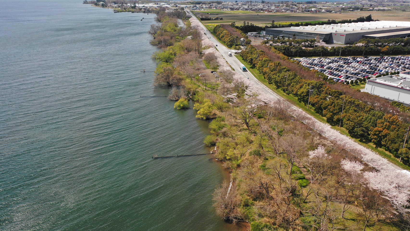 長浜市 湖岸緑地 川道 2 のアウトドア情報 キャンプ q 駐車場 トイレ 琵琶湖アウトドアマップ