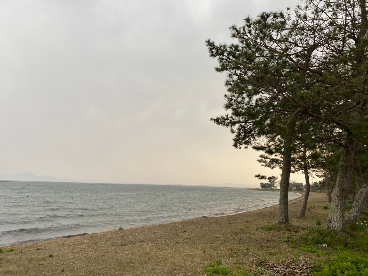 大津市 県営都市公園北浜湖岸緑地 アウトドア情報 駐車場 トイレ 琵琶湖アウトドアマップ