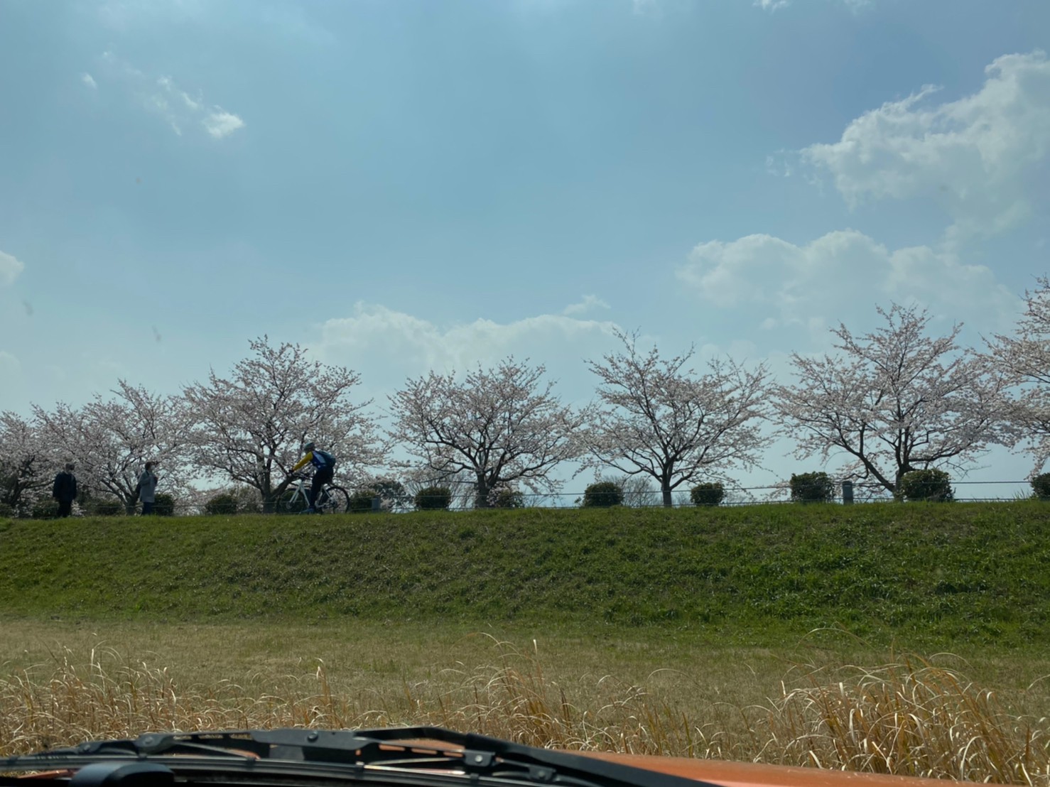 【高島市】『藤本太郎兵衛像』のアクセス・駐車場ガイド