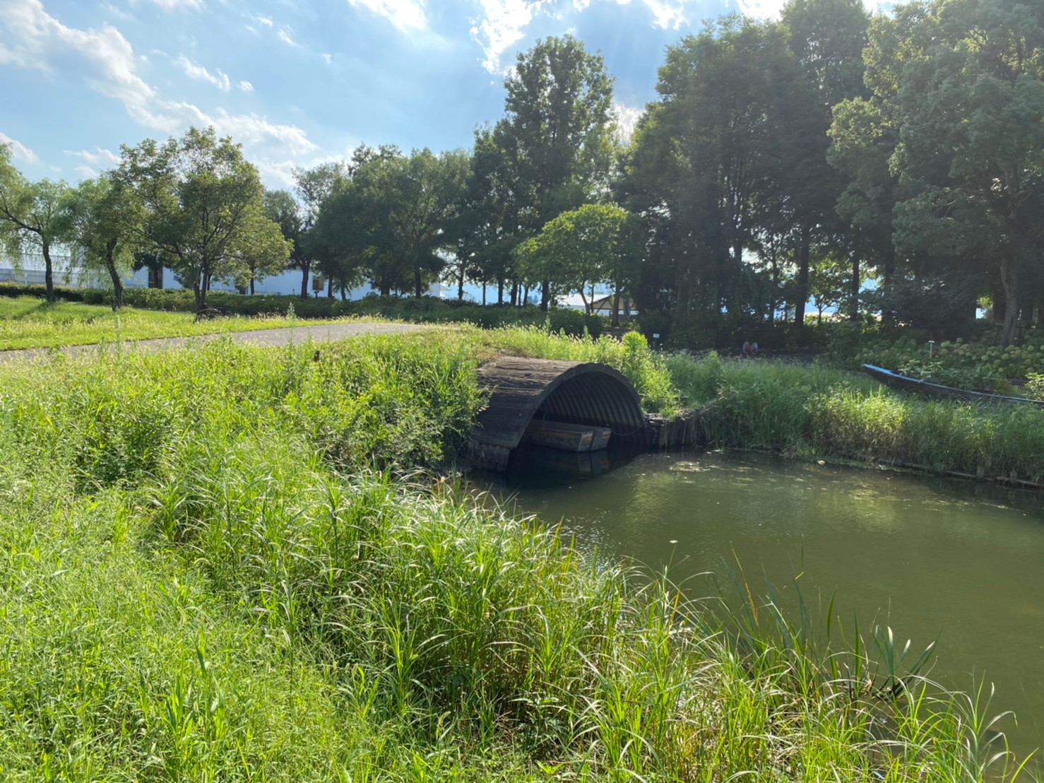 守山市 あじさい園 もりやま芦刈園 あしかりえん 情報まとめ 駐車場 トイレ 琵琶湖アウトドアマップ