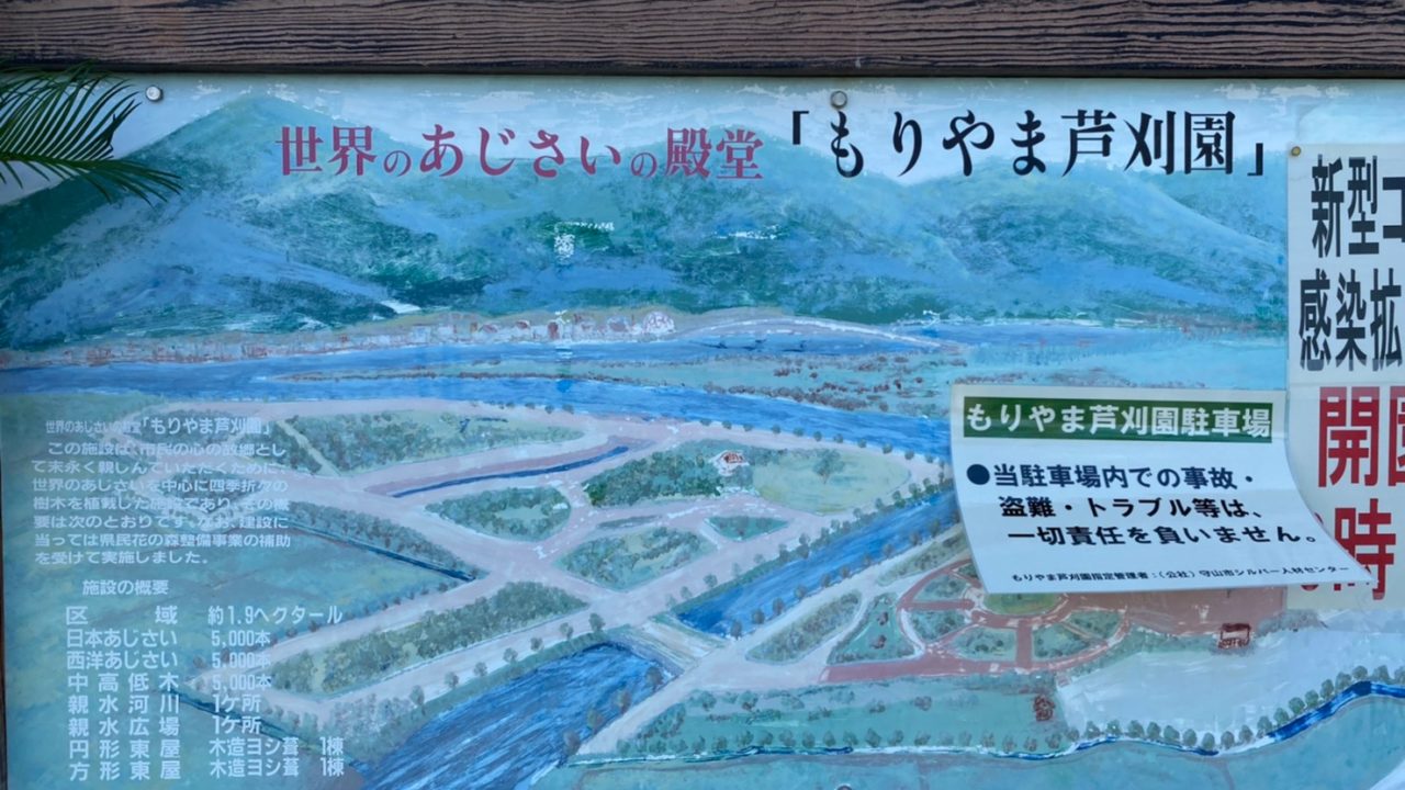 守山市 あじさい園 もりやま芦刈園 あしかりえん 情報まとめ 駐車場 トイレ 琵琶湖アウトドアマップ