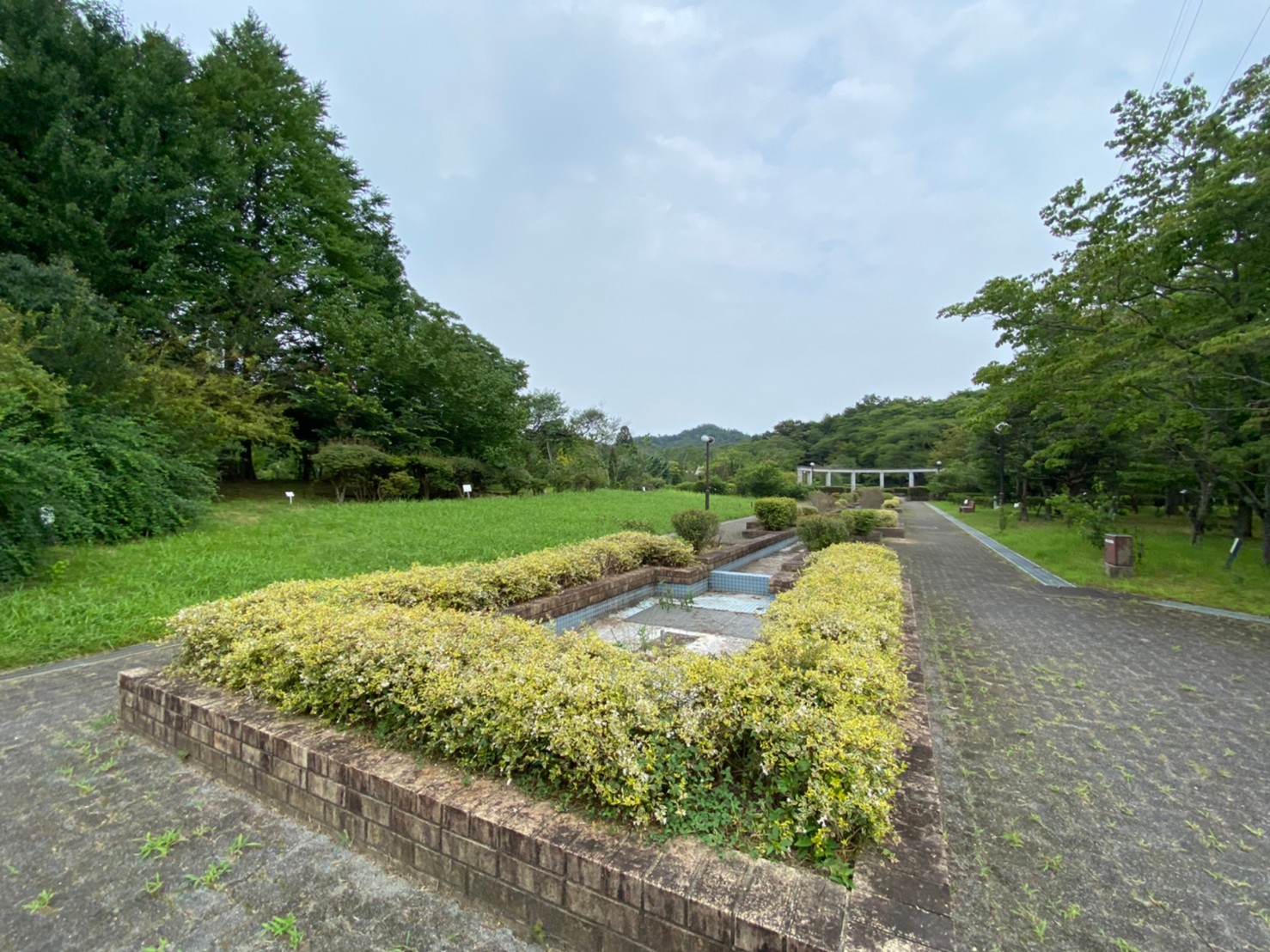 野洲市 近江富士花緑公園 のアウトドア情報 駐車場 トイレ 琵琶湖アウトドアマップ