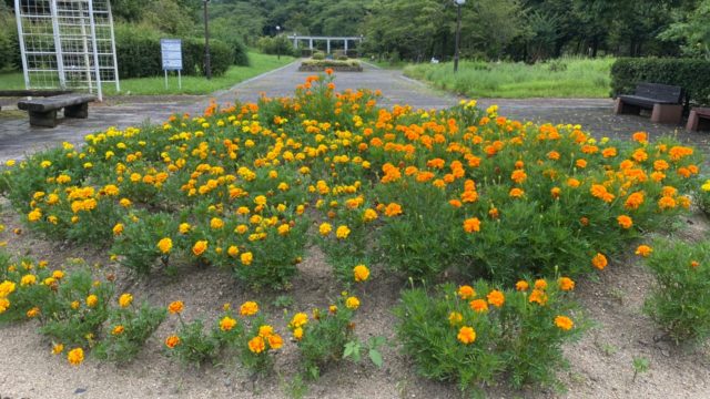 写真スポット タグの記事一覧 琵琶湖アウトドアマップ