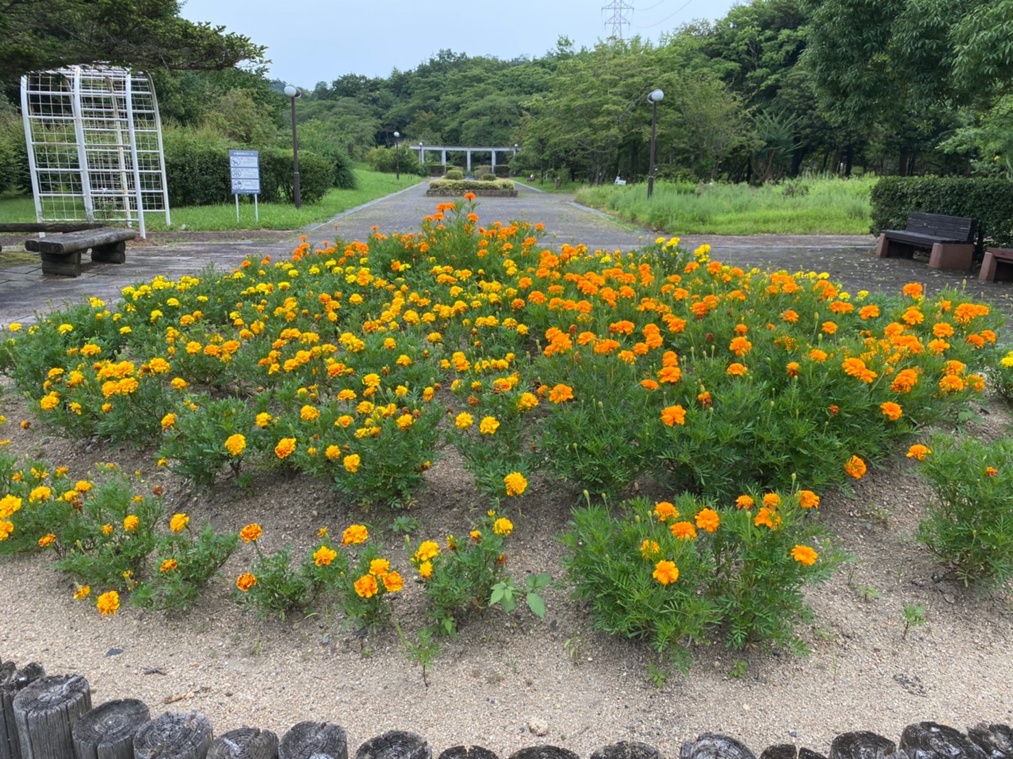 野洲市 近江富士花緑公園 のアウトドア情報 駐車場 トイレ 琵琶湖アウトドアマップ
