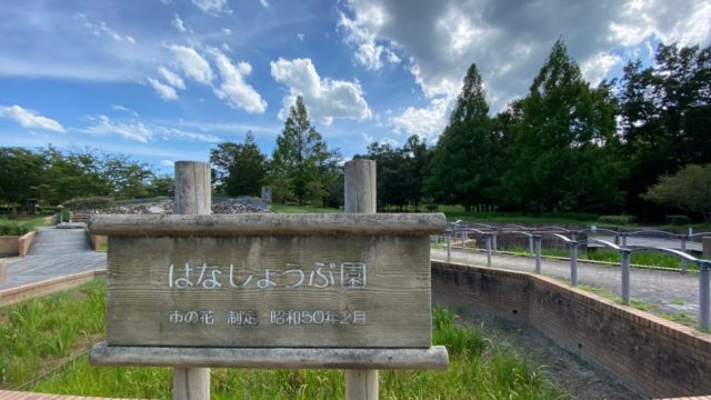 【彦根市】『庄堺公園：しょうさかいこうえん』情報まとめ（花・駐車場・トイレ）
