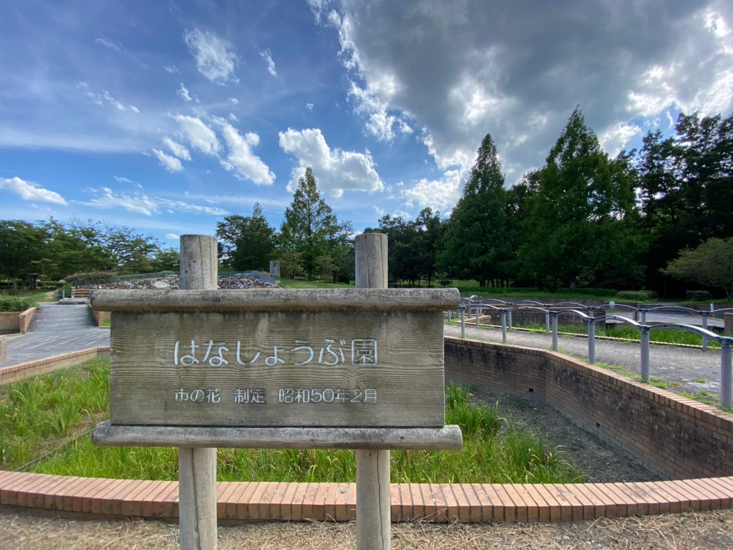 【彦根市】『庄堺公園：しょうさかいこうえん』情報まとめ（花・駐車場・トイレ）
